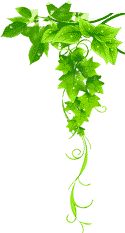 爱游戏app下载入口站_Aiyouxi中文官网首页