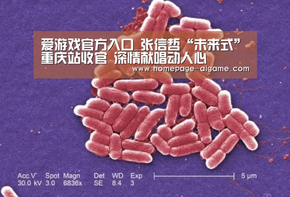 爱游戏