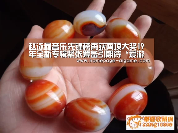 赵泳鑫音乐先锋榜再获两项大奖19年全新专辑紧张筹备引期待‘爱游戏’(图2) 爱游戏体育
