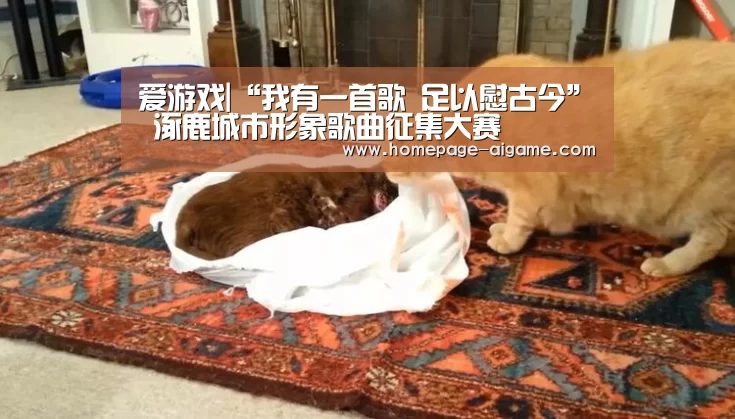 爱游戏|“我有一首歌 足以慰古今” 涿鹿城市形象歌曲征集大赛(图1) 爱游戏官方入口