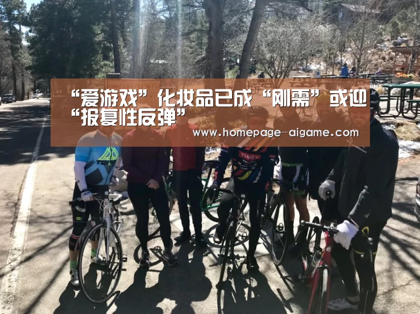 爱游戏体育