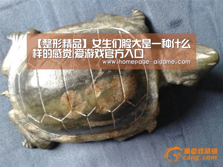 爱游戏体育